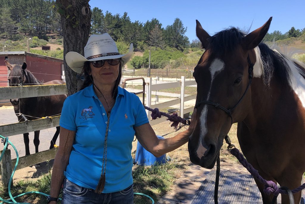 About Ali Tejeda Bay Area Certified MyoManipulative Functional Therapist